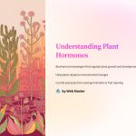 1 Understanding Plant Hormones