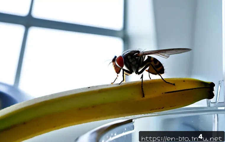 초파리 유전학 모델 - Photorealistic macro view of several tiny fruit flies with red eyes resting on a ripe banana slice i...