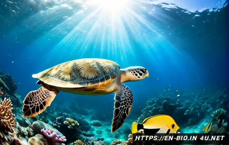 Home 17 해양 생물학 개론 - Photorealistic underwater marine biology field scene, a sea turtle gliding above a vibrant coral ree...